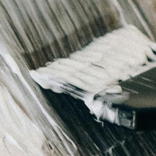 ✨ Money Piece Magic 